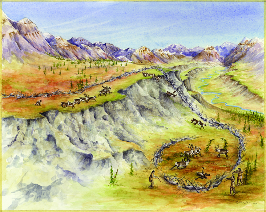 Artist’s interpretation of the KjRx-1 caribou fence, located near Moosehorn Pass in the Mackenzie  Mountains. Caribou were driven along a fence on a high terrace and then forced down a steep bank  into a corral. Artwork by Rae Braden.